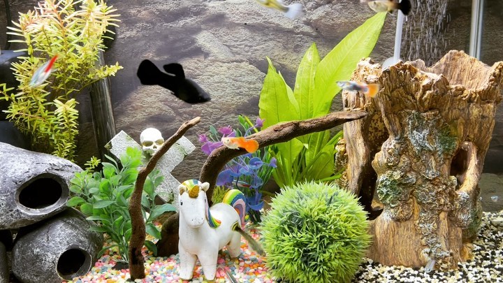 Odense Hjemhygge: Ahh, Livet! 💛