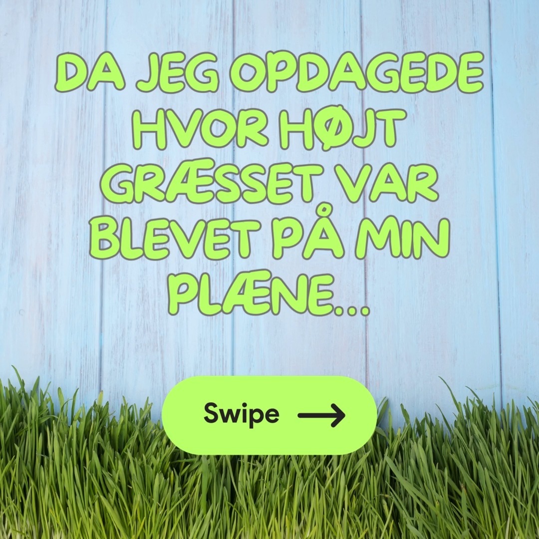 Græskrigens Overraskelse: Fars Plænechok! 🌱🙀