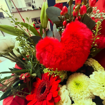 No accessibility caption